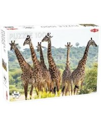 1000 дет.- Жирафы