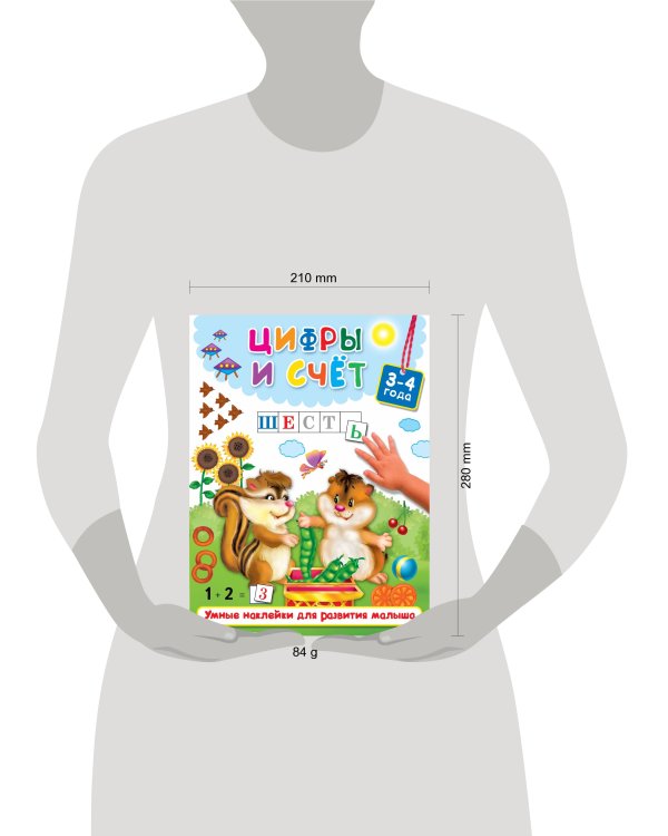 Цифры и счёт