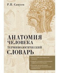 Анатомия человека.Терминологический словарь