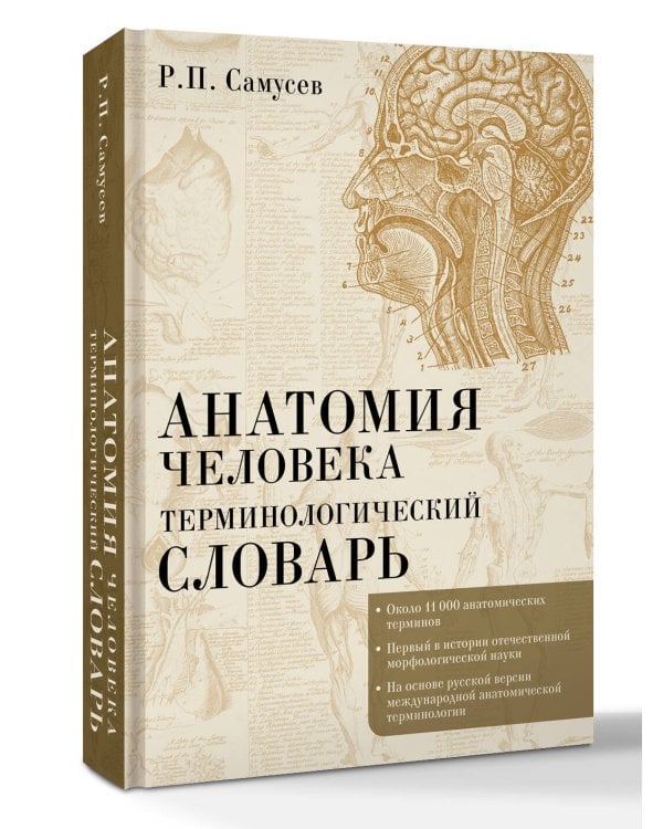 Анатомия человека.Терминологический словарь