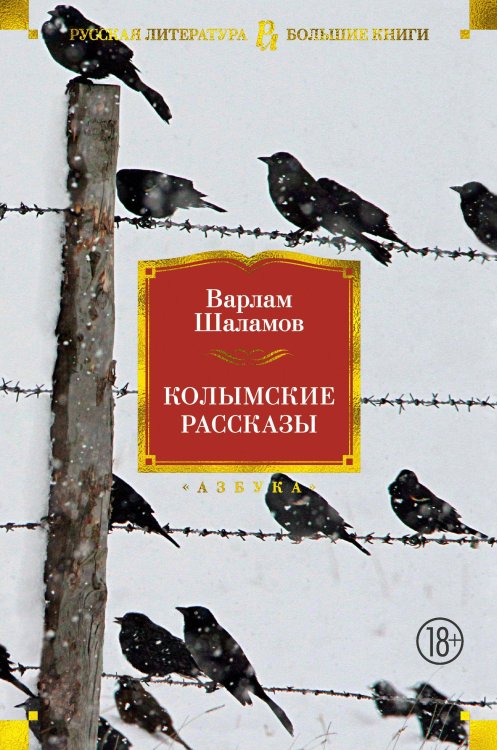 Русская литература. Большие книги Колымские рассказы