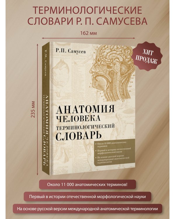 Анатомия человека.Терминологический словарь