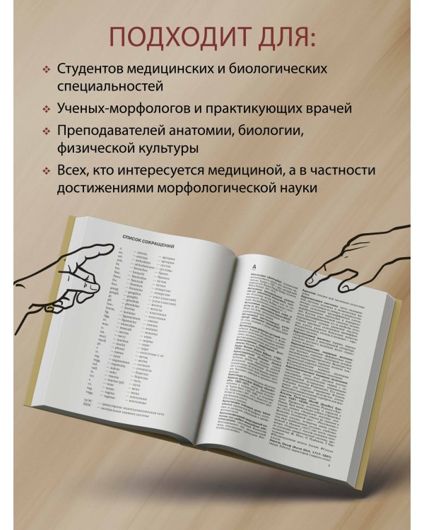 Анатомия человека.Терминологический словарь