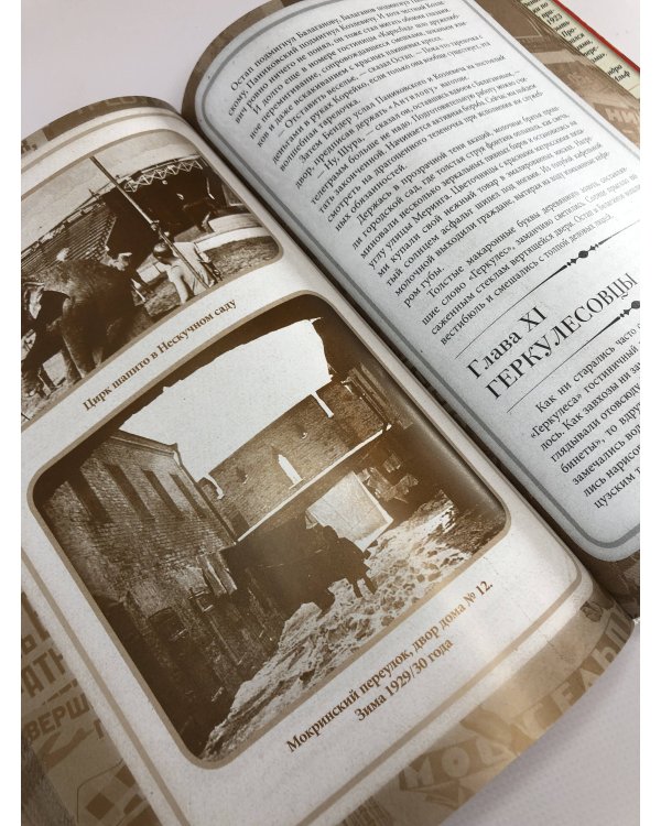 12 стульев. Золотой теленок. Коллекционное иллюстрированное издание