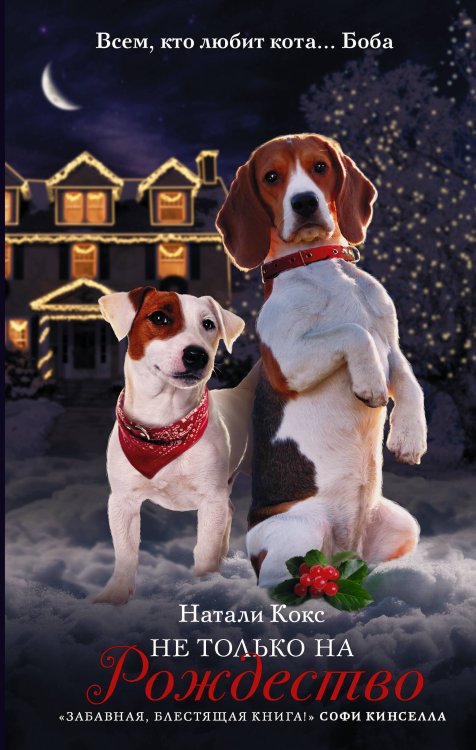 Подарок от Боба Не только на Рождество
