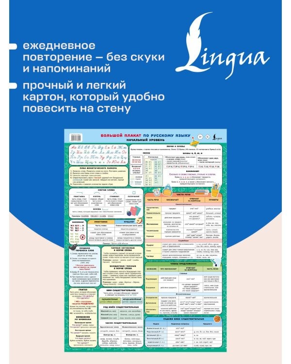 Большой плакат по русскому языку. Начальный уровень