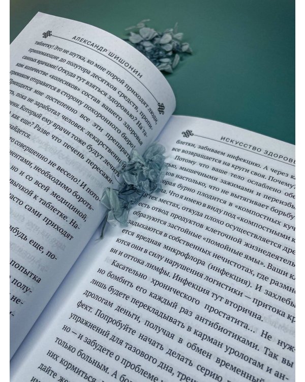 Искусство здоровья. Ваш путь к здоровью и долголетию