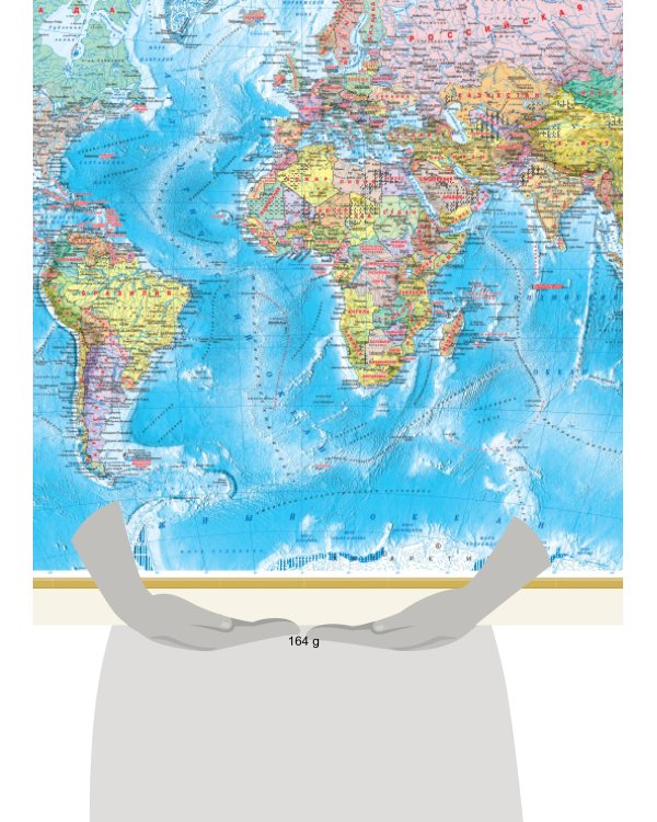 Политическая карта мира. Федеративное устройство России А0