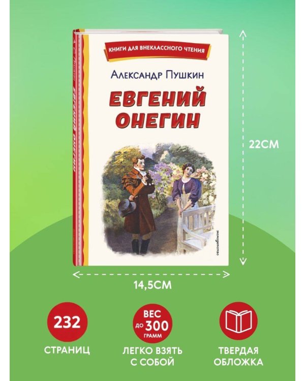 Евгений Онегин (ил. Е. Самокиш-Судковской)