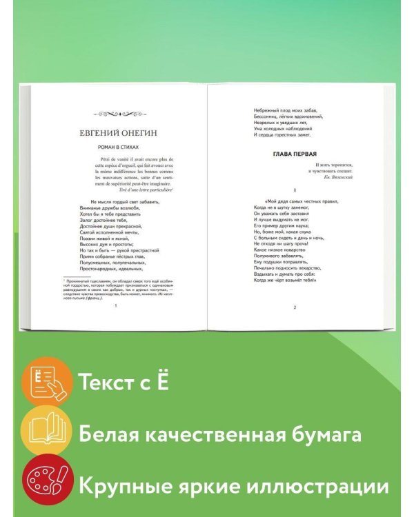 Евгений Онегин (ил. Е. Самокиш-Судковской)