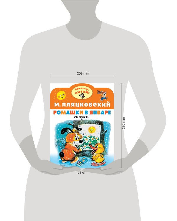 Ромашки в январе