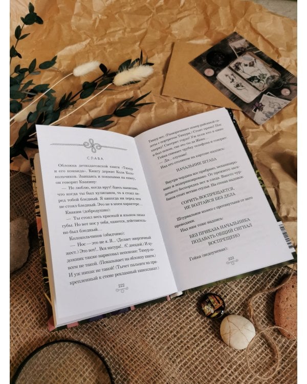 Тимур и его команда (Внеклассное чтение)