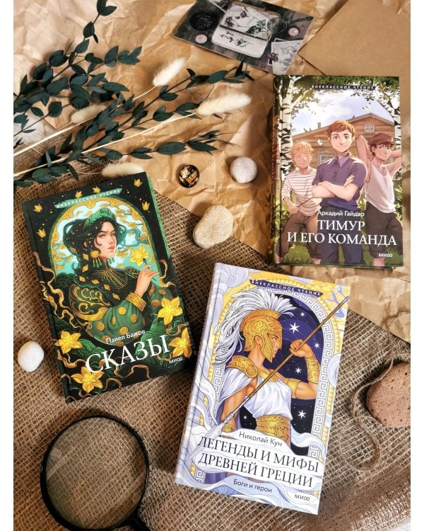 Тимур и его команда (Внеклассное чтение)