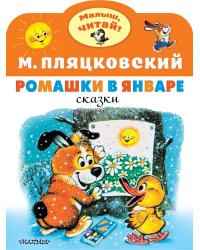 Ромашки в январе