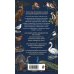 Дополнительное изображение книги «Птицы. Карманный атлас-определитель»