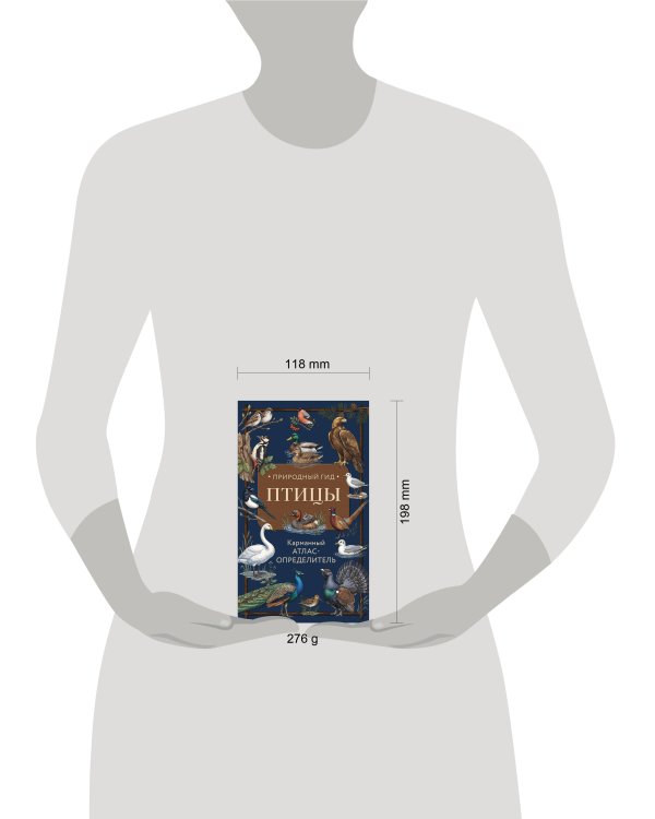 Дополнительное изображение книги «Птицы. Карманный атлас-определитель»