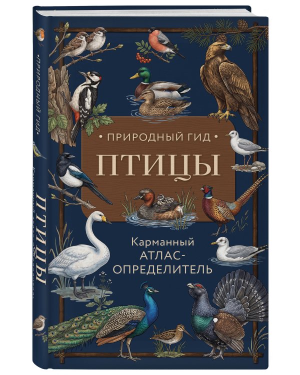 Дополнительное изображение книги «Птицы. Карманный атлас-определитель»