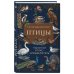 Дополнительное изображение книги «Птицы. Карманный атлас-определитель»