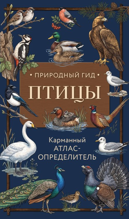 Обложка книги «Птицы. Карманный атлас-определитель» — Вереницын Николай, ISBN 9785042255076