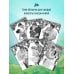 Дополнительное изображение книги «Виноград. Сезон любви»