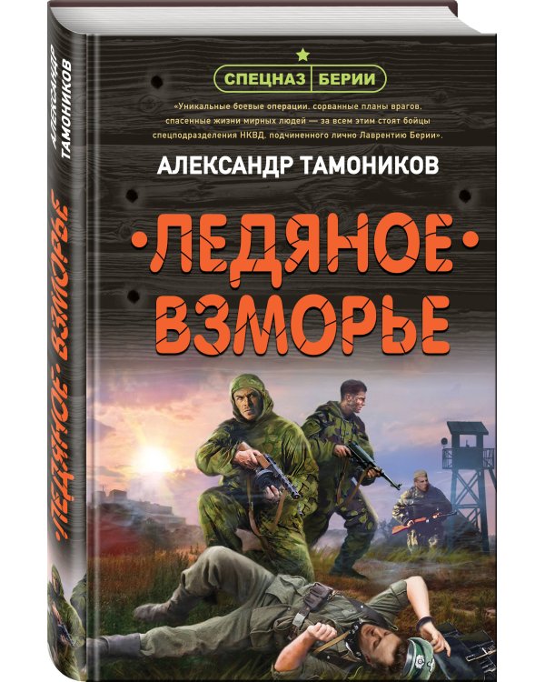 Ледяное взморье