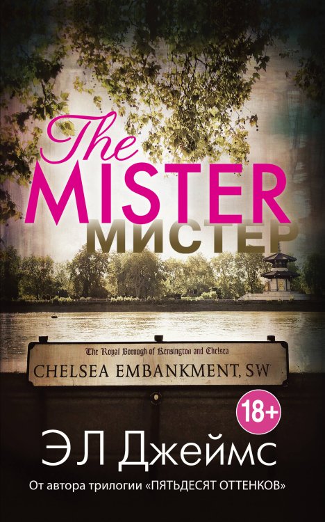 Эрика Джеймс. Мировое признание (Paperback) Мистер