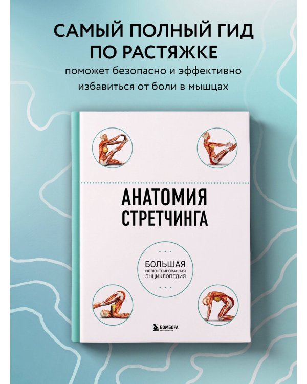 Дополнительное изображение книги «Анатомия стретчинга. Большая иллюстрированная энциклопедия»