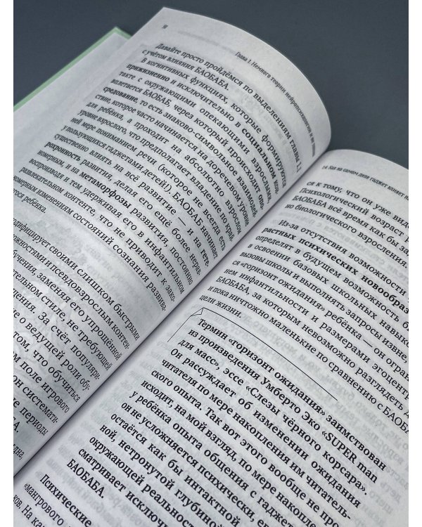 Дополнительное изображение книги «Нейрокогнитивное развитие детей от 0 до 13 лет в мире гаджетов и удовольствия. Речь, чтение, письмо, счет.»
