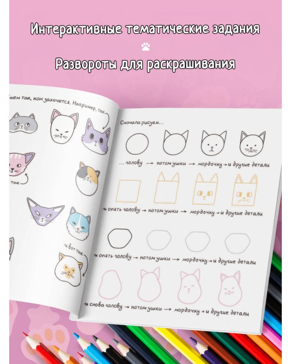 Котоляндия. Самая пушистая раскраска с заданиями внутри