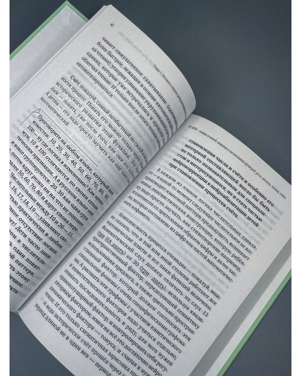 Дополнительное изображение книги «Нейрокогнитивное развитие детей от 0 до 13 лет в мире гаджетов и удовольствия. Речь, чтение, письмо, счет.»