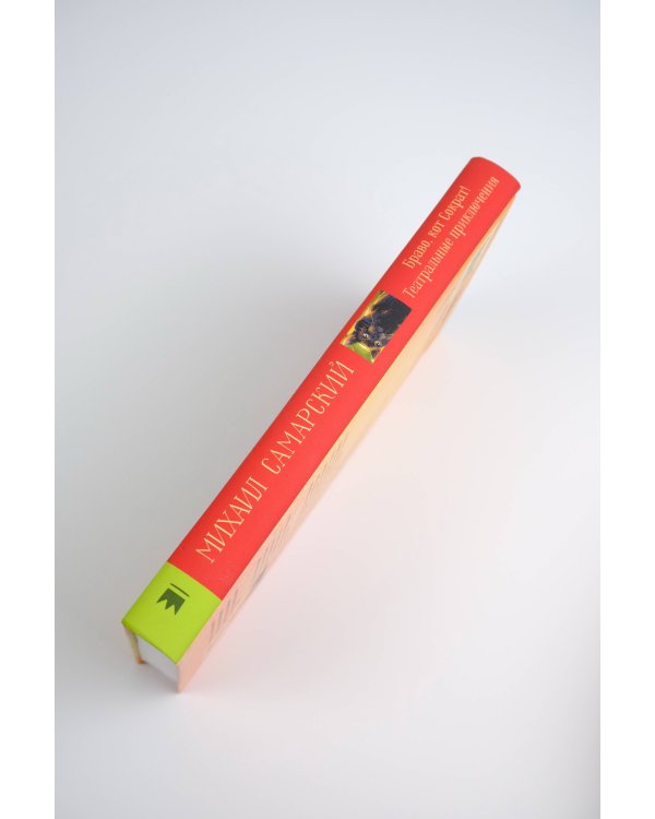 Браво, кот Сократ! Театральные приключения