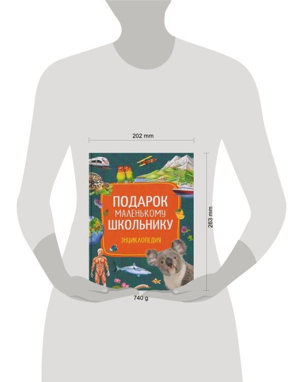 Подарок маленькому школьнику. Энциклопедия
