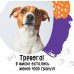 А кто у нас такой красивый? Календарь настенный на 2026 год (300х300)