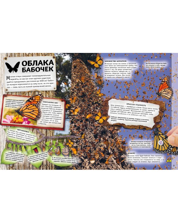 Животные. Книга юного эрудита