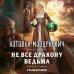 Не все дракону ведьма