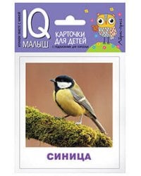 Умный малыш. Птицы