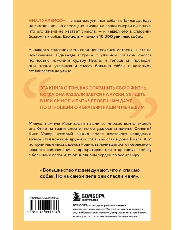 Надежда. Как спасение уличных собак изменило жизнь человека