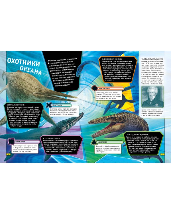 Животные. Книга юного эрудита