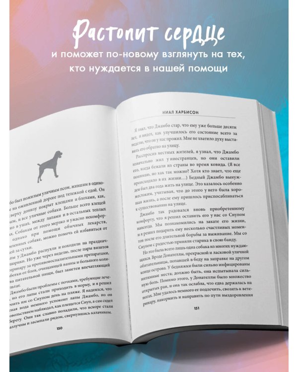 Надежда. Как спасение уличных собак изменило жизнь человека