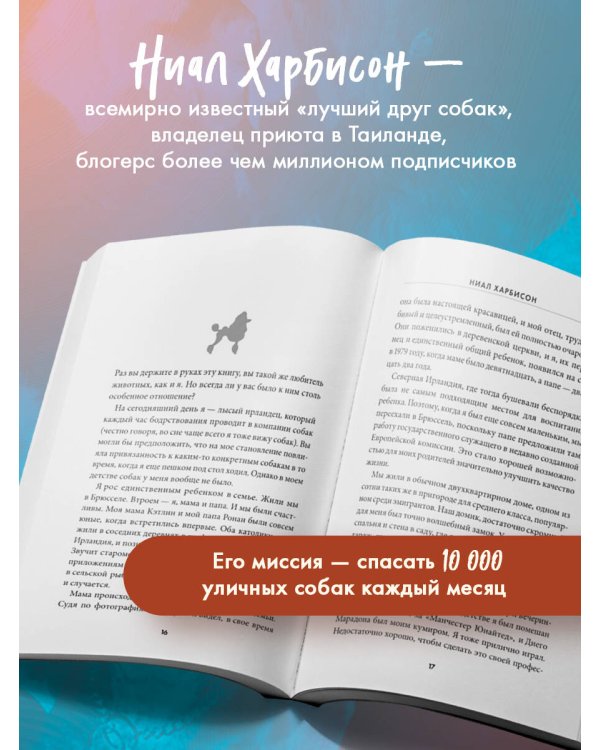 Надежда. Как спасение уличных собак изменило жизнь человека