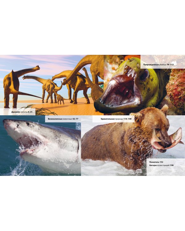 Животные. Книга юного эрудита