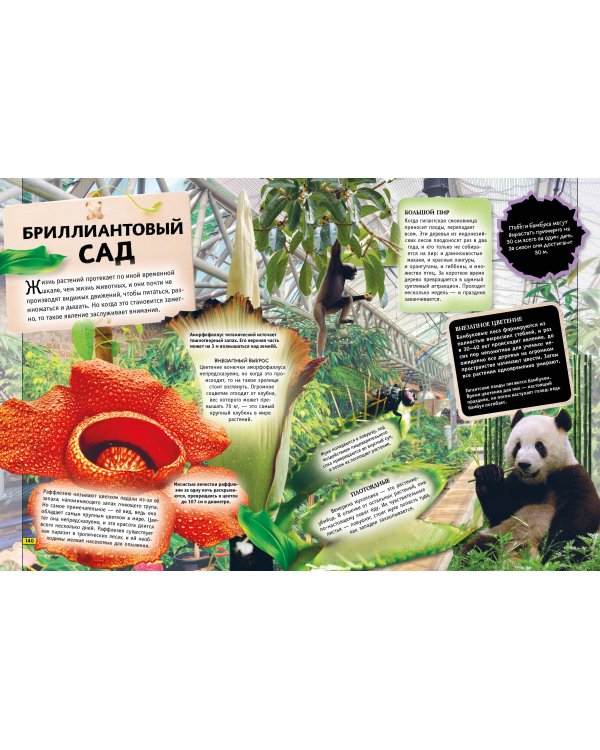 Животные. Книга юного эрудита