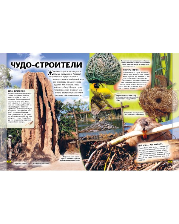 Животные. Книга юного эрудита