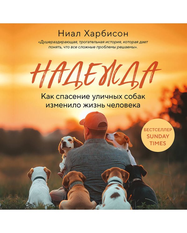 Надежда. Как спасение уличных собак изменило жизнь человека