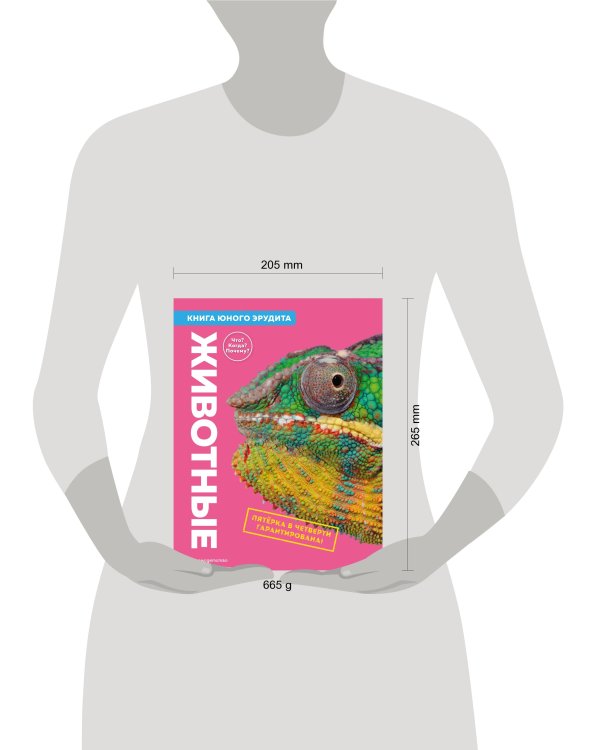 Животные. Книга юного эрудита