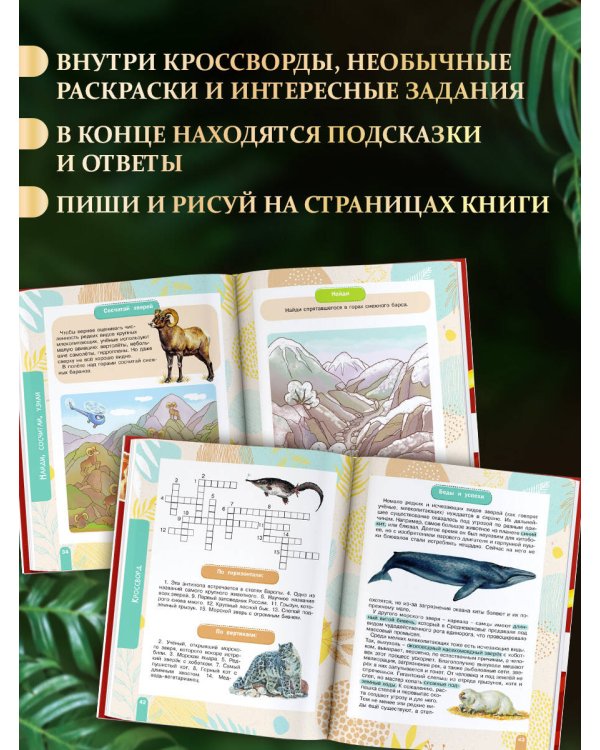 Комплект. Красная книга. Активити (комплект из 2 книг)