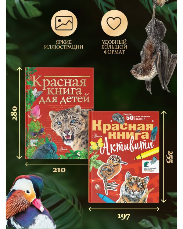 Комплект. Красная книга. Активити (комплект из 2 книг)