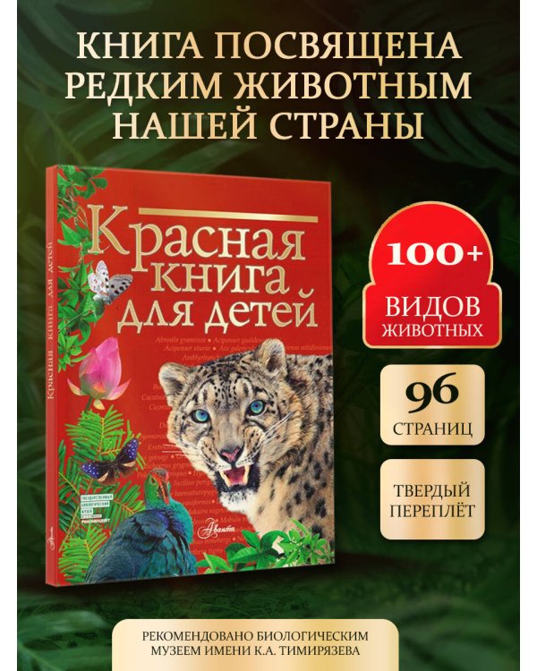 Комплект. Красная книга. Активити (комплект из 2 книг)