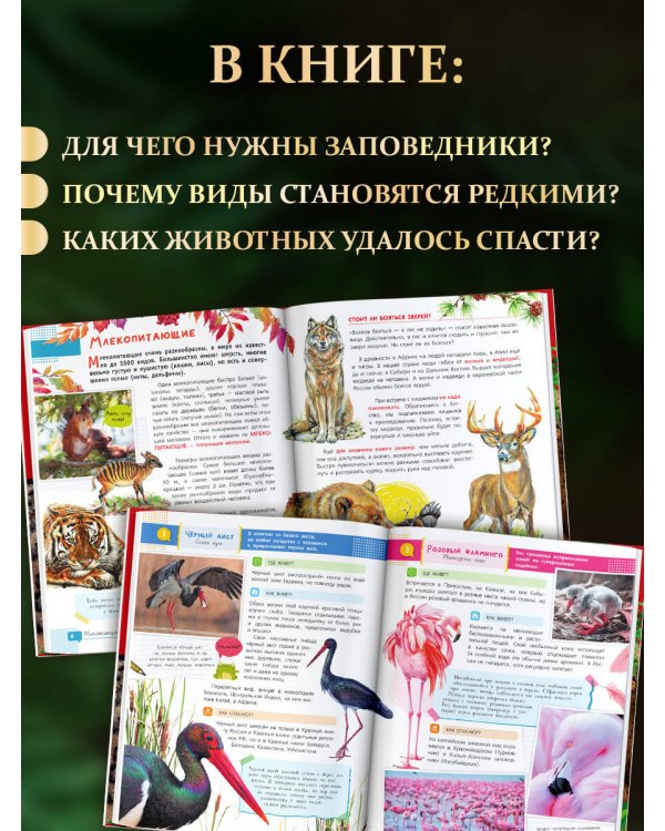 Комплект. Красная книга. Активити (комплект из 2 книг)