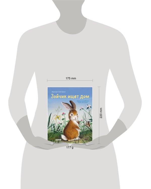 Дополнительное изображение книги «Кк. Золотая библиотечка малыша. Зайка ищет дом»